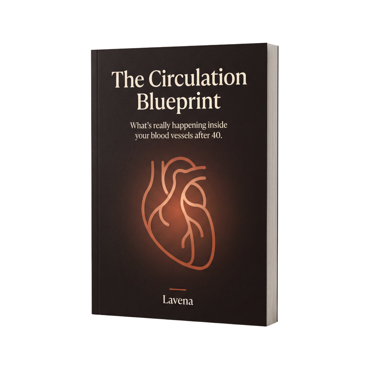Free E-Book: The Circulation Blueprint